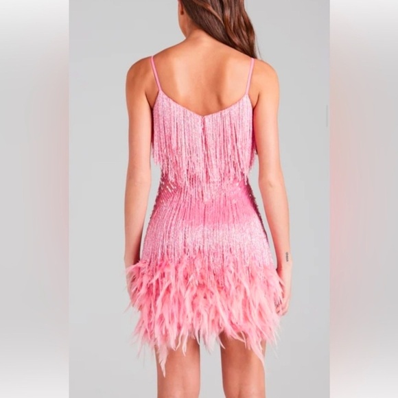 NADINE MERABI LOTTIE Pink Fringe Dress - Picture 3 of 15